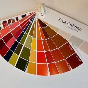 True Autumn / Warm Autumn Color Swatch Fan - Personal Color season analysis
